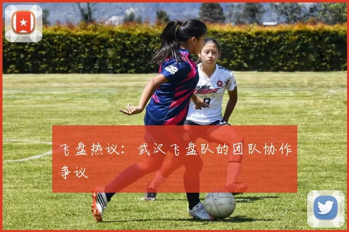 飞盘热议：武汉飞盘队的团队协作争议