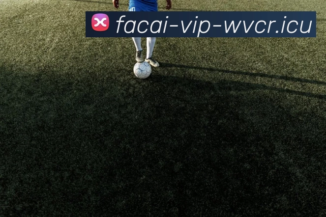 九游体育APP 封面图